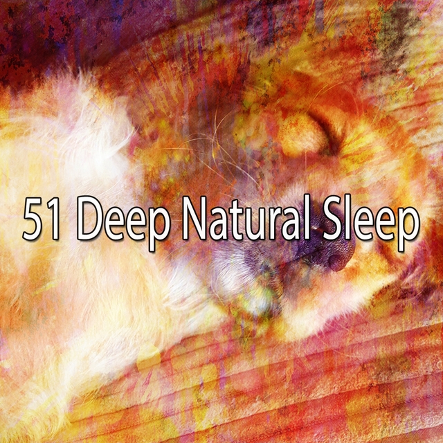 51 Deep Natural Sleep