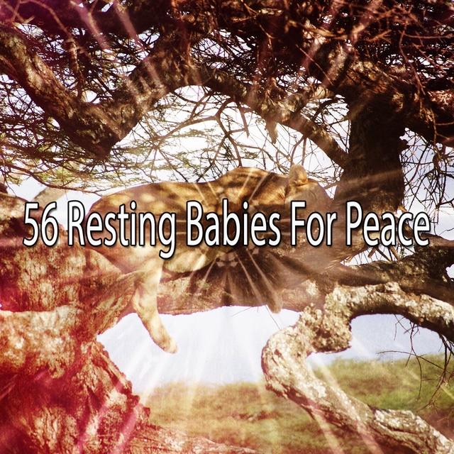 56 Resting Babies for Peace