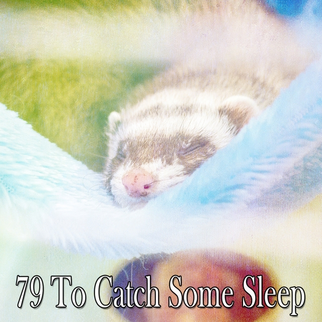 79 To Catch Some Sleep