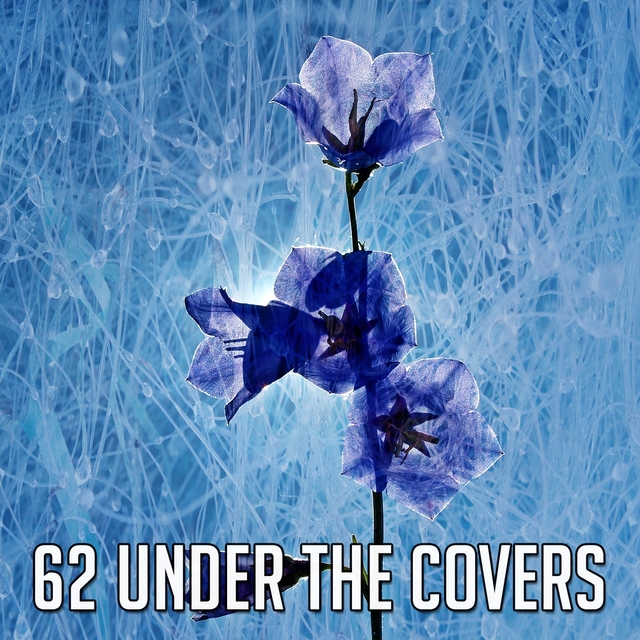 62 Under the Covers