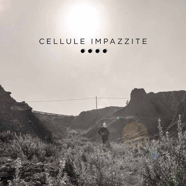 Couverture de Cellule impazzite