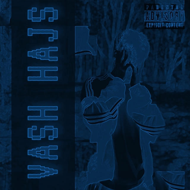 Couverture de Vash hajs