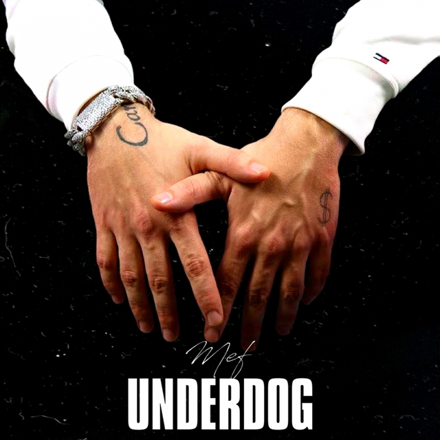 Couverture de Underdog