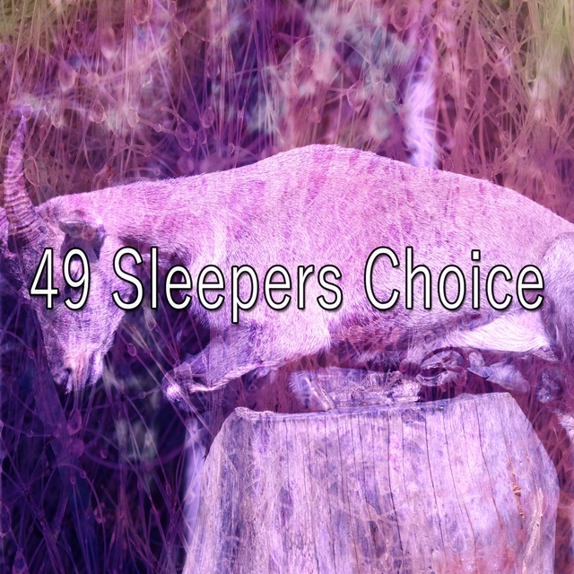 49 Sleepers Choice