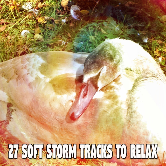 27 Soft Storm Tracks to Relax