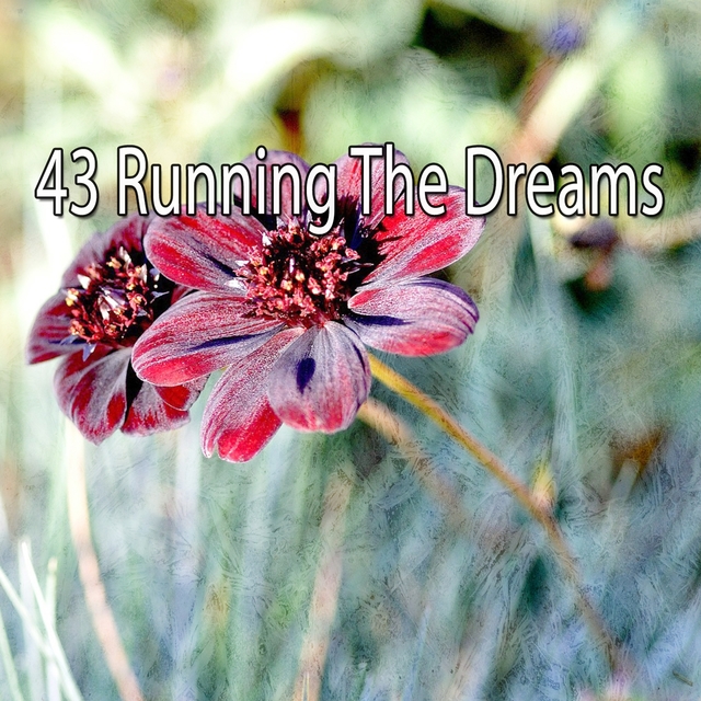 43 Running the Dreams