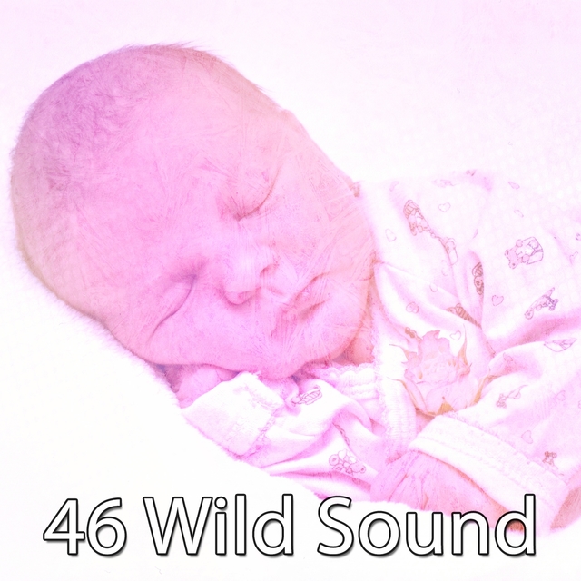 46 Wild Sound