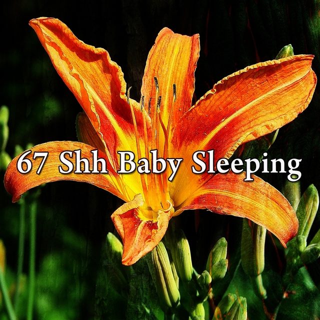 67 Shh Baby Sleeping