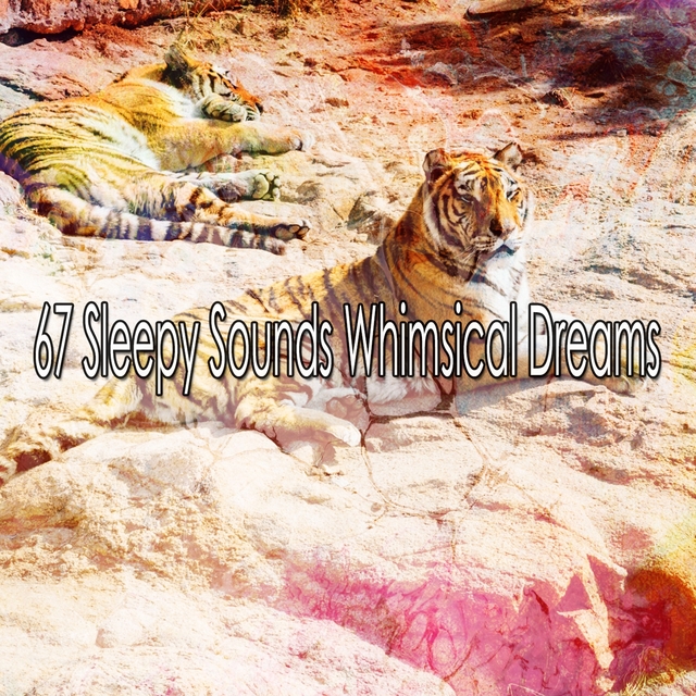 Couverture de 67 Sleepy Sounds Whimsical Dreams