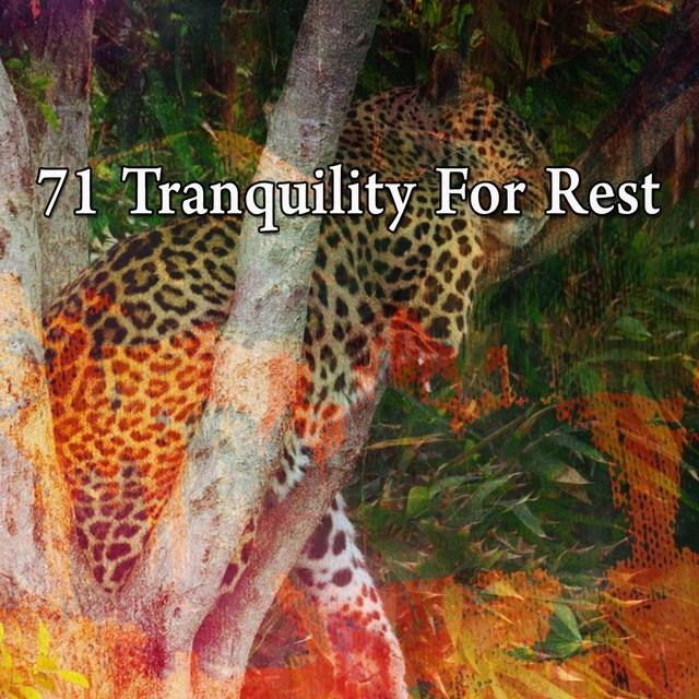 Couverture de 71 Tranquility for Rest