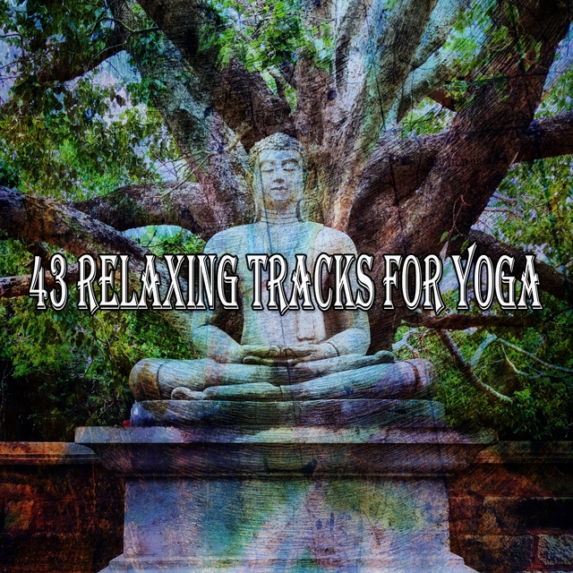 Couverture de 43 Relaxing Tracks for Yoga