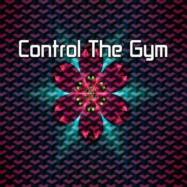 Couverture de Control the Gym