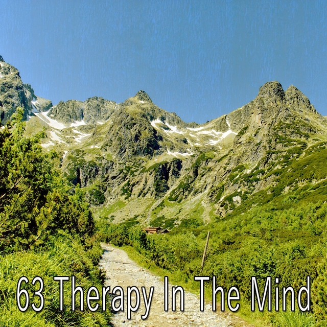 63 Therapy in the Mind