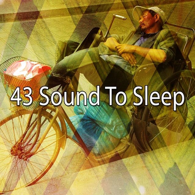 Couverture de 43 Sound to Sleep