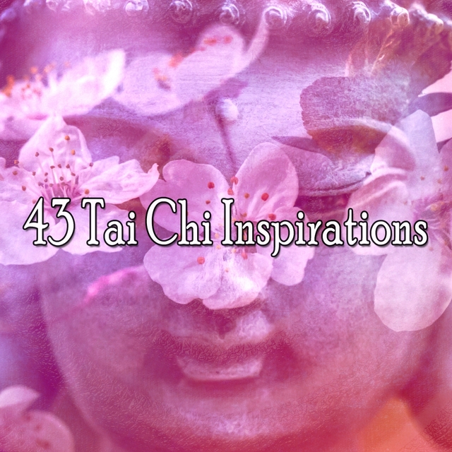 Couverture de 43 Tai Chi Inspirations