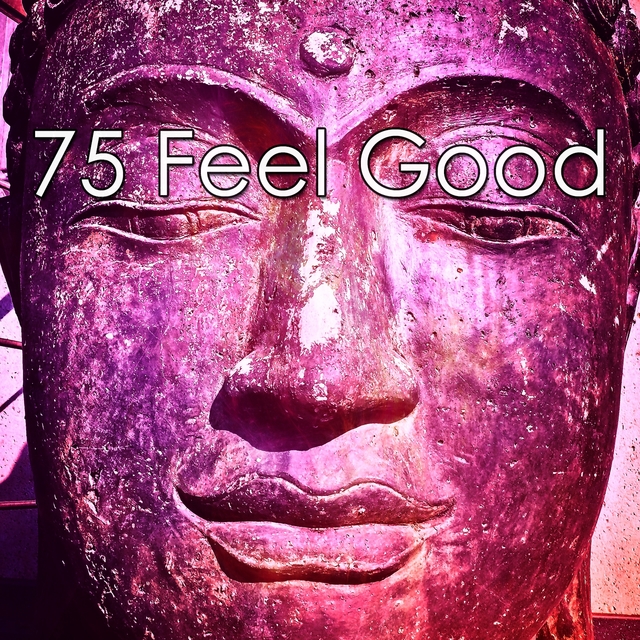 Couverture de 75 Feel Good