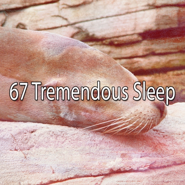 Couverture de 67 Tremendous Sleep