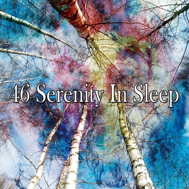 Couverture de 46 Serenity in Sleep