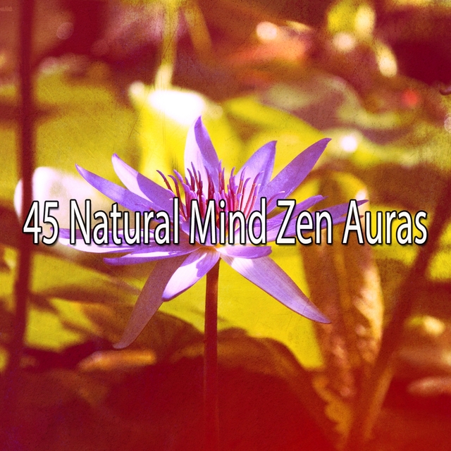 Couverture de 45 Natural Mind Zen Auras