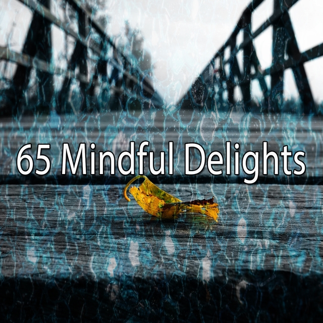 Couverture de 65 Mindful Delights