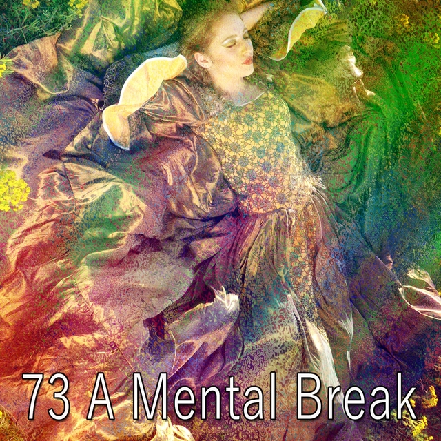 Couverture de 73 A Mental Break