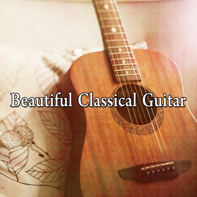 Beautiful Classical Guitar