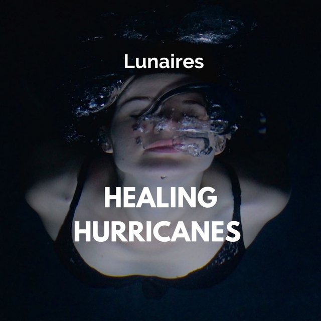 Couverture de Healing Hurricanes