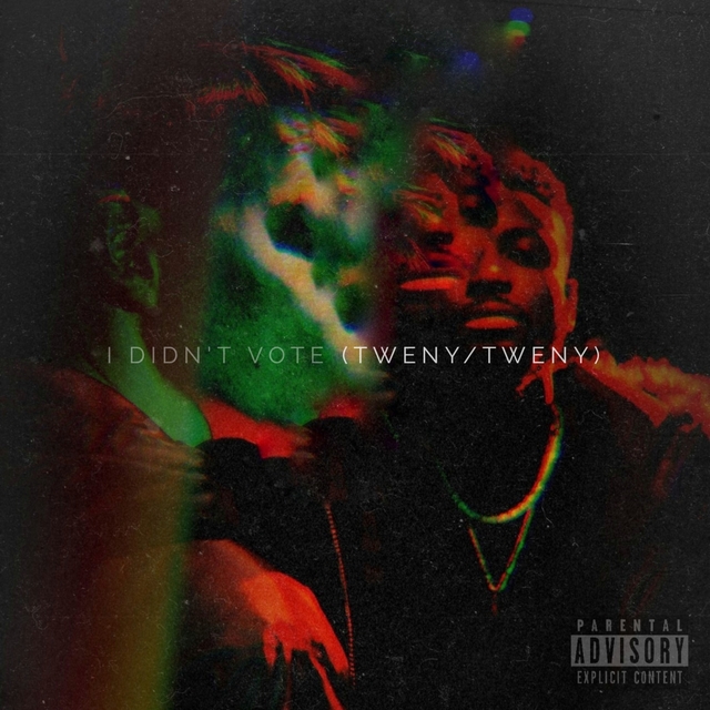 Couverture de I Didn't Vote