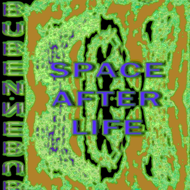 Space After Life