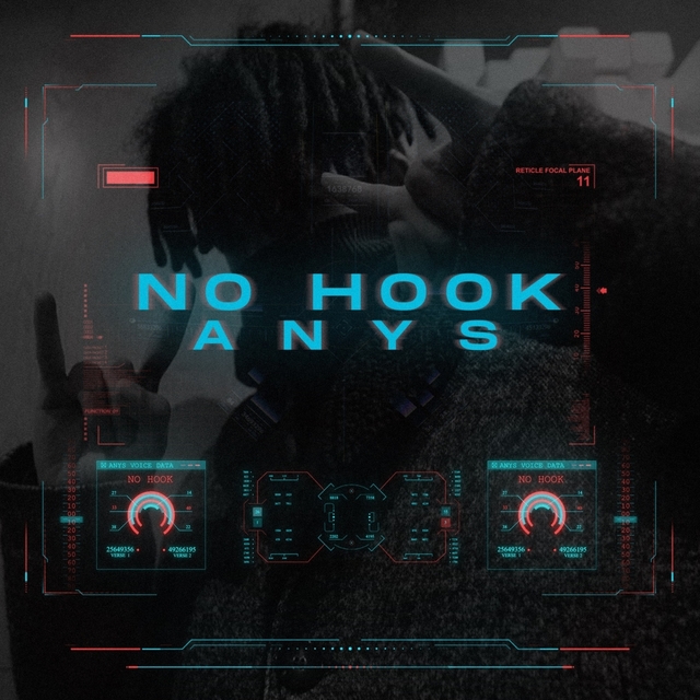 Couverture de No Hook