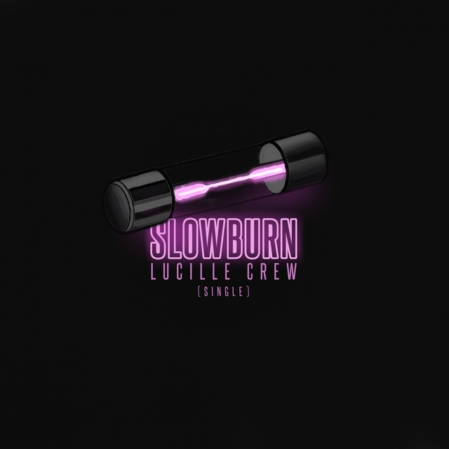 Couverture de Slowburn