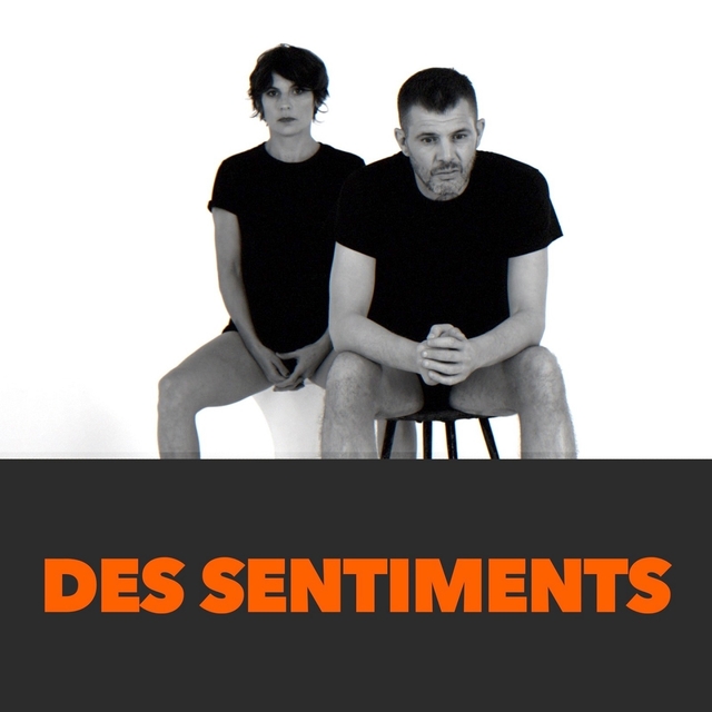 Couverture de Des sentiments