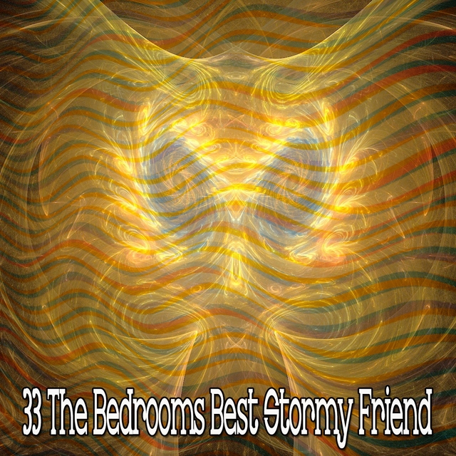 Couverture de 33 The Bedrooms Best Stormy Friend