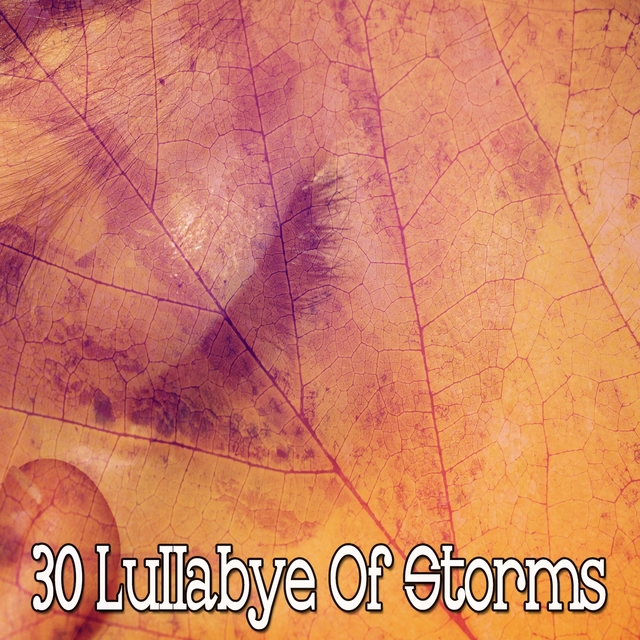 Couverture de 30 Lullabye of Storms