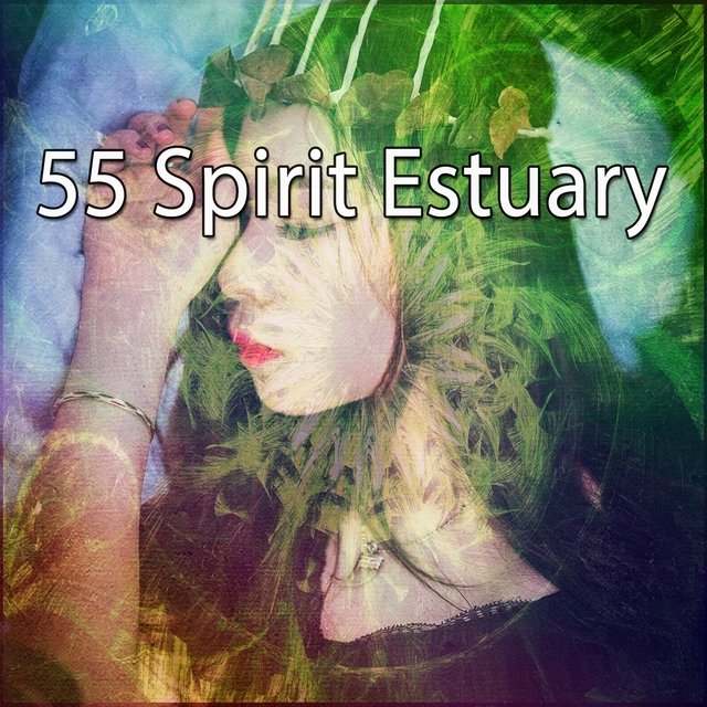 Couverture de 55 Spirit Estuary