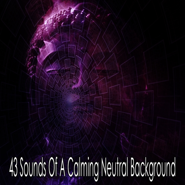 Couverture de 43 Sounds of a Calming Neutral Background