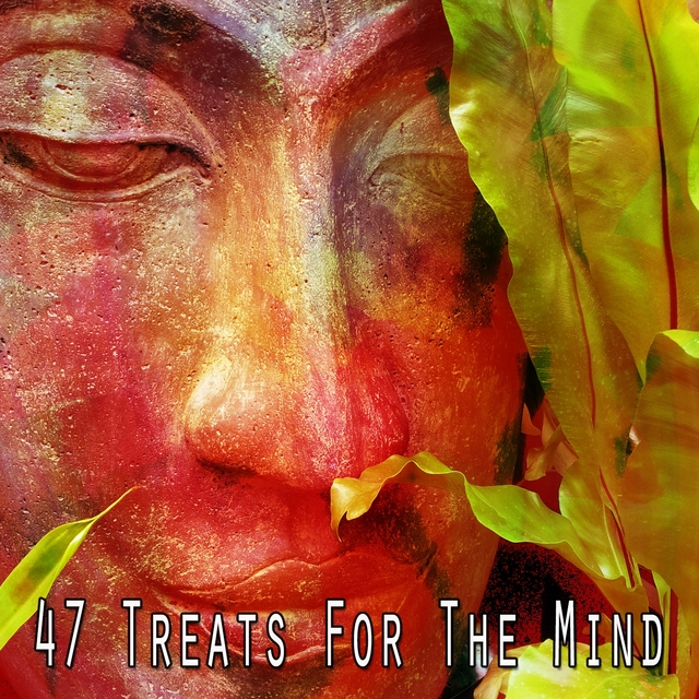 Couverture de 47 Treats for the Mind