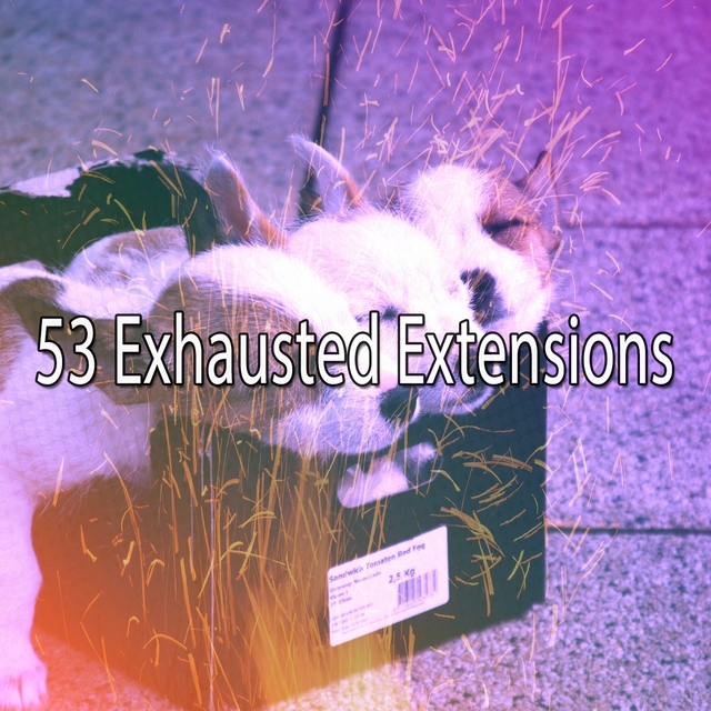 Couverture de 53 Exhausted Extensions