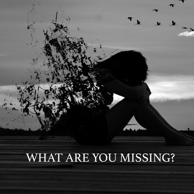 Couverture de What Are You Missing?