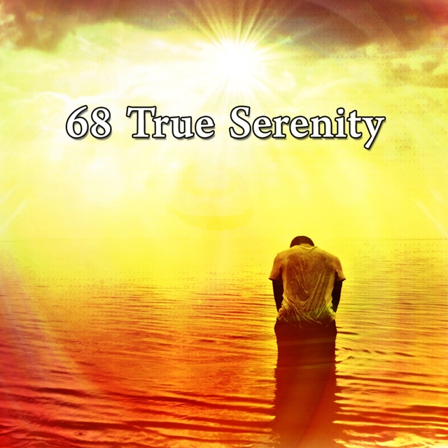 Couverture de 68 True Serenity