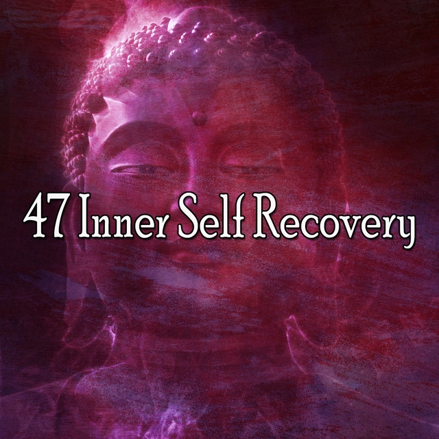 47 Inner Self Recovery