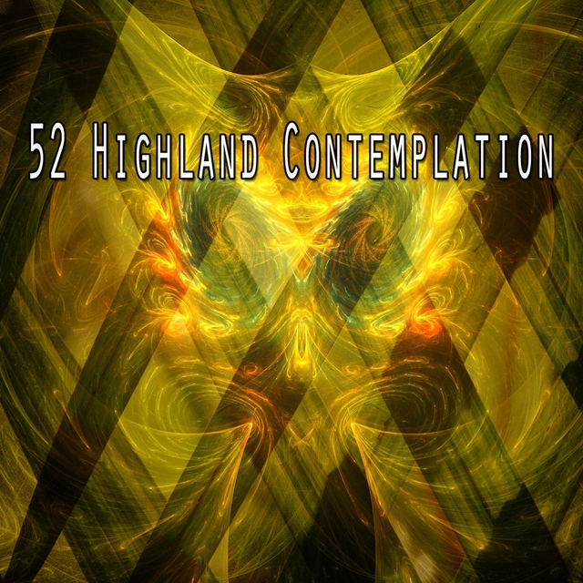 52 Highland Contemplation