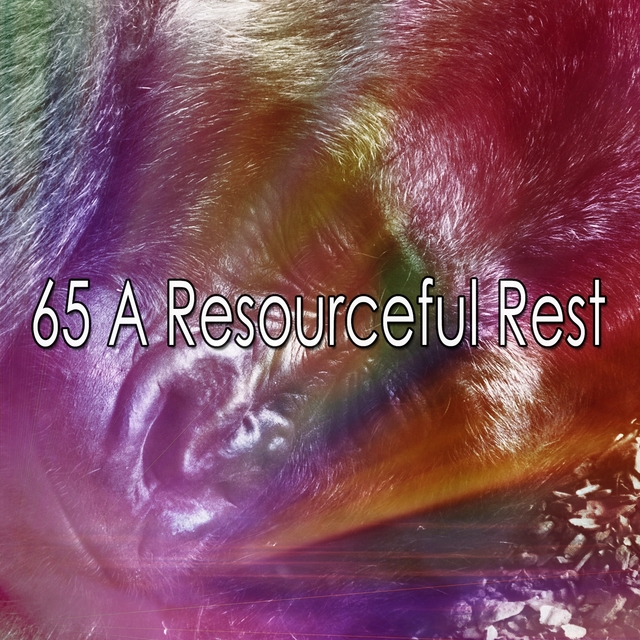 65 A Resourceful Rest