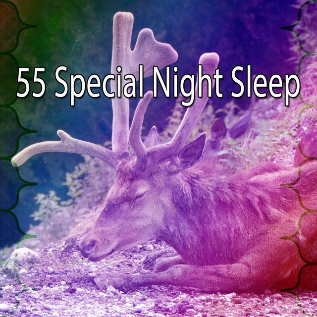 55 Special Night Sleep