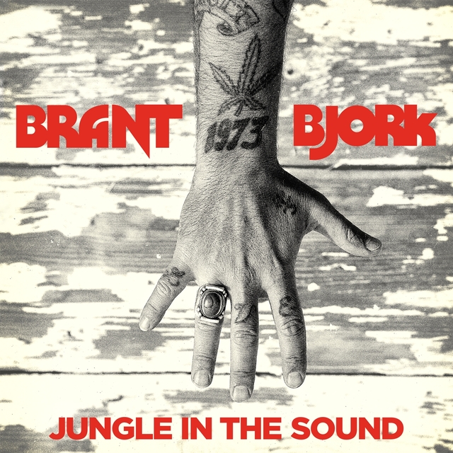 Couverture de Jungle in the Sound