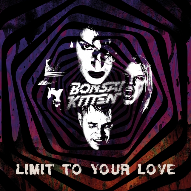 Couverture de Limit to Your Love