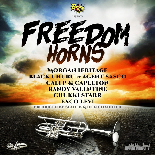Couverture de Freedom Horns