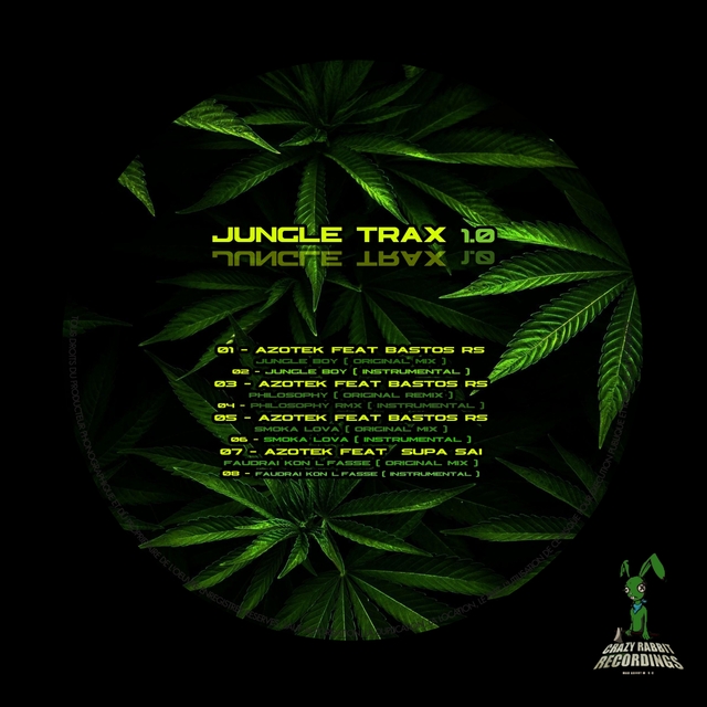 Couverture de Jungle Dub