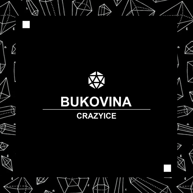 Couverture de Bukovina