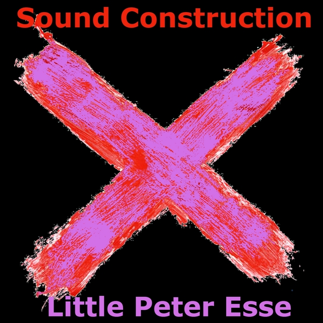 Couverture de Sound Construction